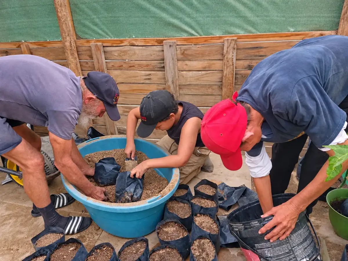 Learners taking part in practical garden work